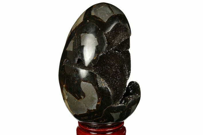 Septarian Dragon Egg Geode - Black Crystals #177422